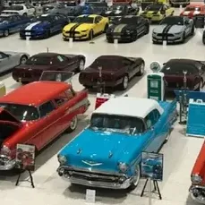 Ship Cars Cars