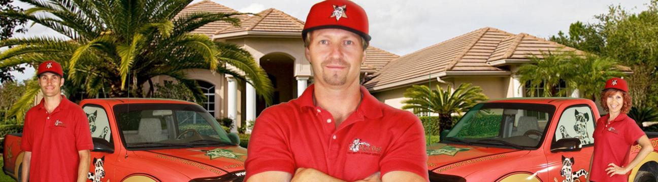 Rich Dog Dog Poop Cleanup