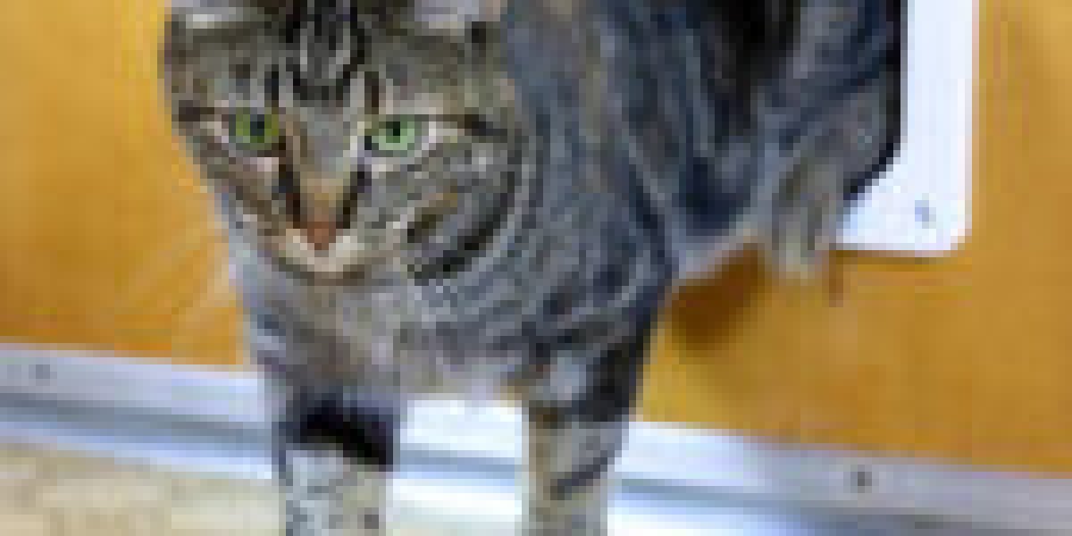 Your Worst Nightmare About Cat Flap Replacement Come To Life