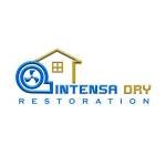 Intensa Dry Profile Picture